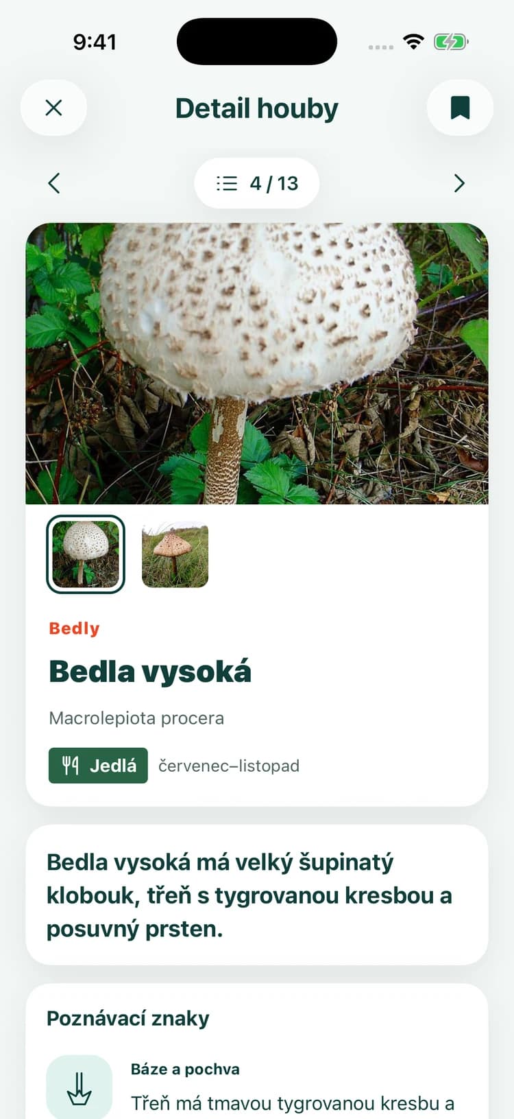 Detail bedly vysoké s aktivní záložkou: houba uložená mezi oblíbenými